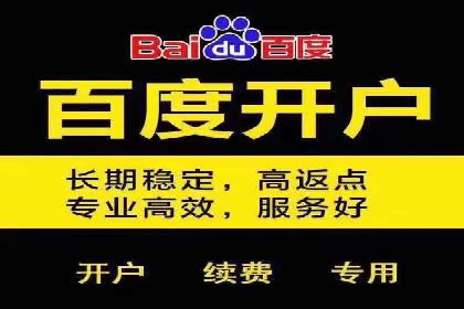 搜索引擎营销（SEM）成功案例详解