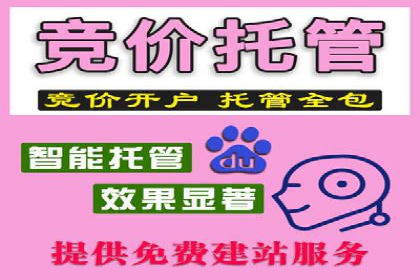 百度竞价账户托管成功案例，揭秘广告投放秘诀